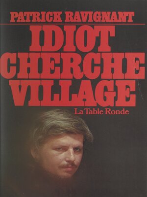 cover image of Idiot cherche village